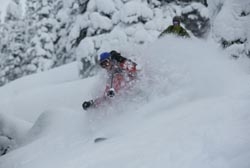 I am filled with respect and gratitude for Dr. Gross, Lee Webb, and the rest of their team.