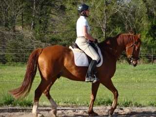 I am so grateful to Dr. Gross and Nurse Webb.