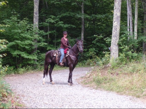 My prayers were answered and I have been riding horses again.